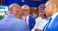 pre-30th Nigerian Economic Summit