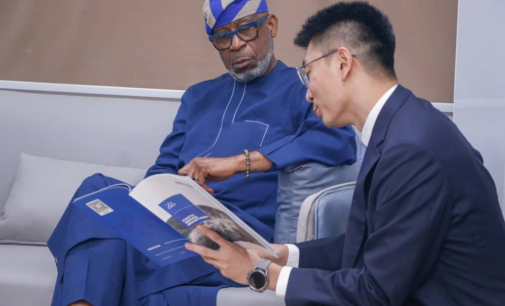 Chinese Investors in Nigeria (Nigerian Mining)