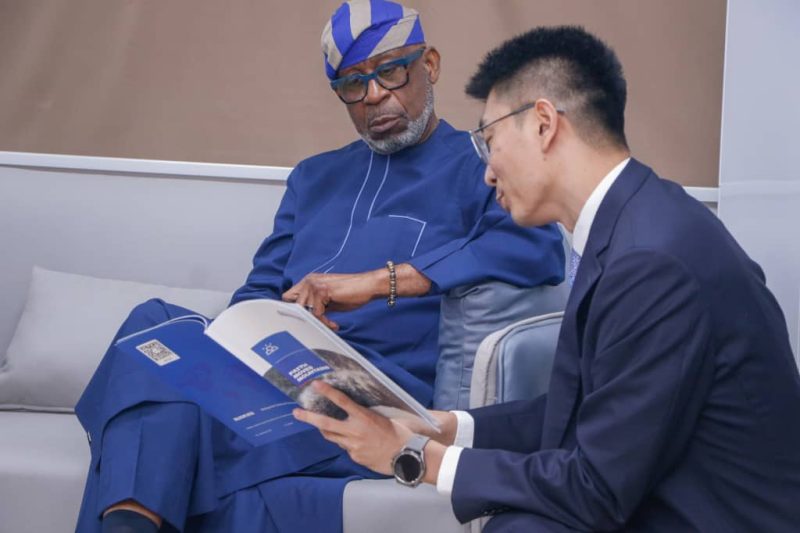 Chinese Investors in Nigeria (Nigerian Mining)