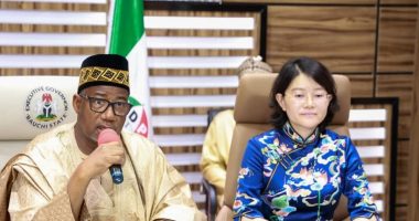 Governor Bala Mohammed, Minsheng Group Sign Deal (Nigerian Mining)