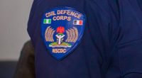 NSCDC Badge (Nigerian Mining)