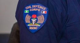 NSCDC Badge (Nigerian Mining)