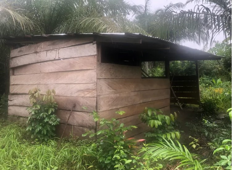 Nigerian Mining A makeshift security  post made in the bush