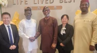 Steel Development (Nigerian Mining )