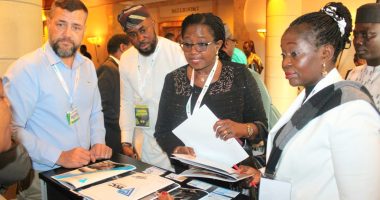 Solid Minerals Roadshow (Nigerian Mining)