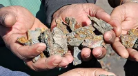 India Expands Exploration of Critical Minerals in Zambia, Congo, and Australia