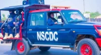 NSCDC Arrests 29 Suspects in Bauchi Over Illegal Mining, Vandalism