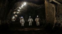 South Africa: Harmony Gold Tragedy Sparks Calls for Stronger Worker Protections