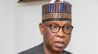 Dr Dr. Orji Ogbonnaya Orji (Nigerian Mining)