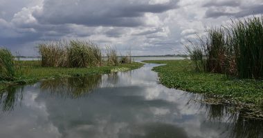 Water Pollution in Zimbabwe's Mining Regions Threatens Local Health