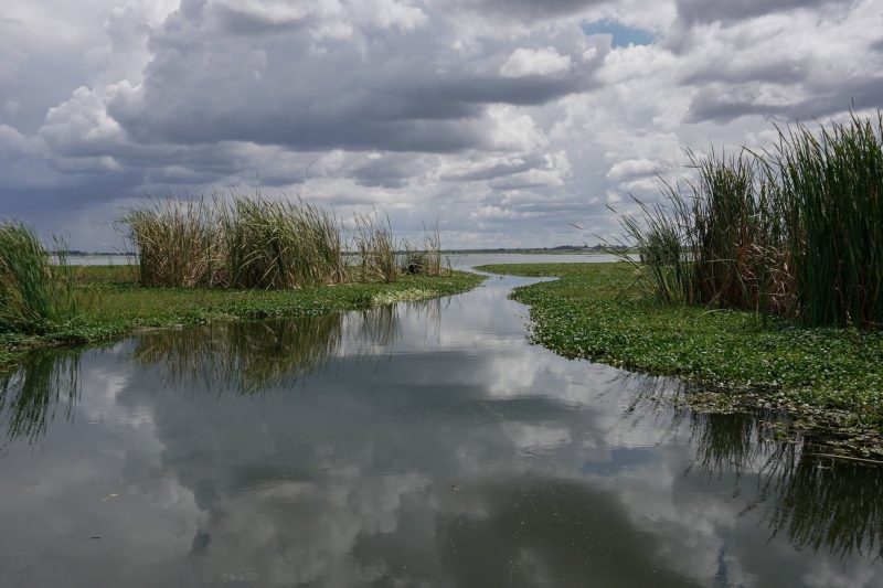 Water Pollution in Zimbabwe's Mining Regions Threatens Local Health