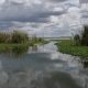 Water Pollution in Zimbabwe's Mining Regions Threatens Local Health