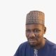 Usman Muhammad Hamish (Nigerian Mining)