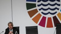 Momentum Builds for High Seas Treaty Despite Delays