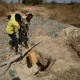 Gold-miners (Nigerian Mining)