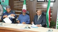 Nigeria and South Africa Forge Mining Pact to Boost Sectoral Development
