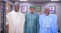 Nasarawa at the Forefront of Nigeria’s Mining Revolution, Says Alake