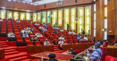 Solid Minerals: Senate Courts Chinese Investors in Push for Economic Diversification