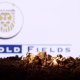 Ghana Strikes Deal with Gold Fields to Extend Damang Mining for One Year