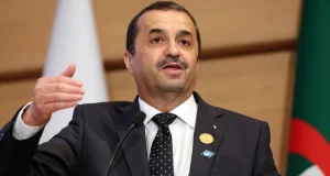 Algeria’s Mining Sector Drives Rise in Industrial Producer Prices
