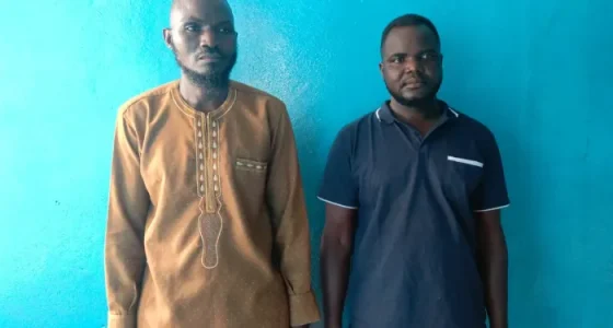 Liberia: Two Burkinabé Men Held Over Illegal Mining Operation in Bong County
