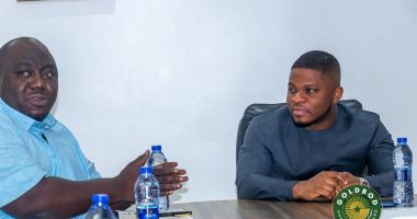Ghana Gold Board Strikes Deal to Retain 20% of Output from Nine Mining Firms