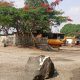 Mining quarry in Mpape (Nigerian Mining)