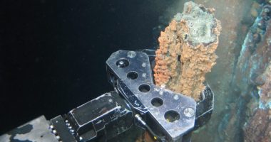 Deep Sea Mining Faces Legal Hurdles Over Environmental Concerns