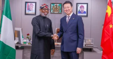 China to Establish Electric Vehicle Factories in Nigeria, Deepen Mining Sector Ties