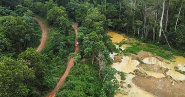 Ghana Fights Back Against Illegal Mining as Forests and Rivers Suffer